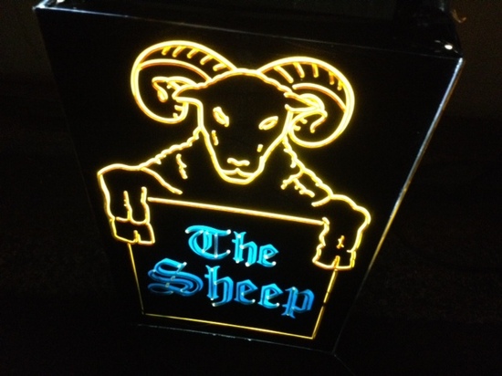 the sheep.JPG